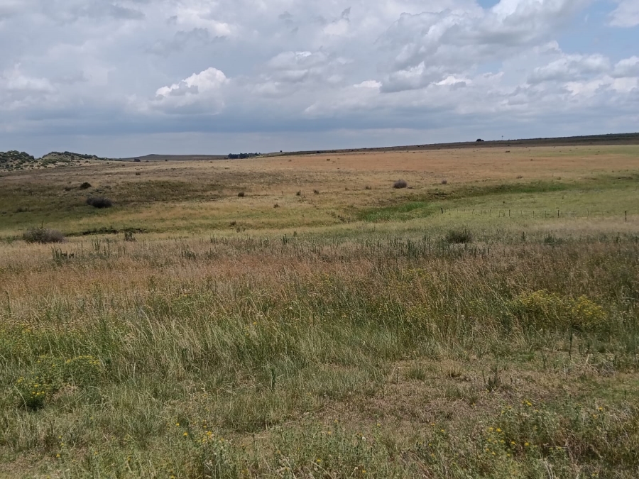 0 Bedroom Property for Sale in Lindley Rural Free State